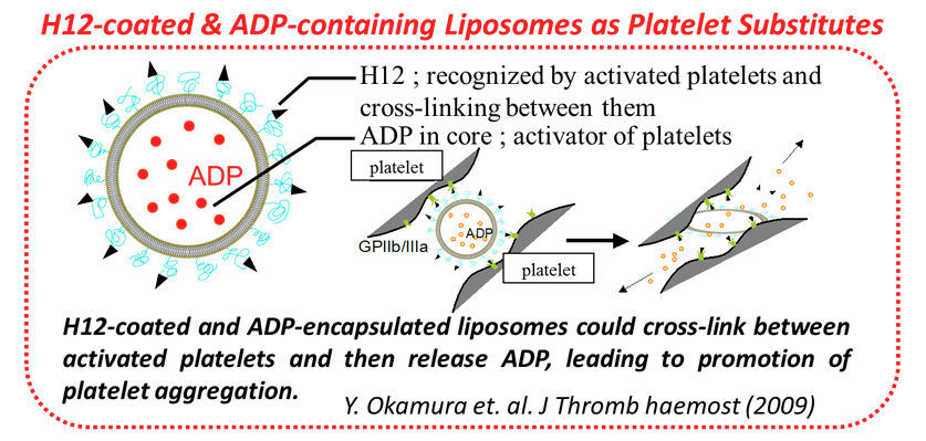 liposomes